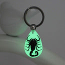 Glow-In-The-Dark Real Insect Keychain (Black Scorpion) D5A9