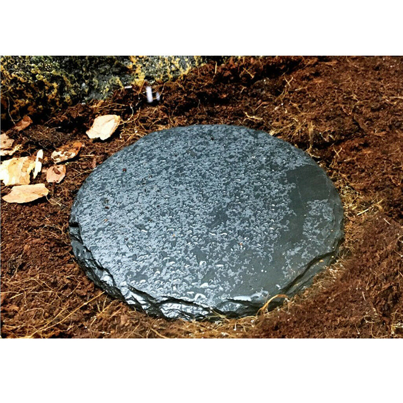 2 Pieces Turtle Basking Area, Turtle Feeding Platform Bowl, Natural Rock for