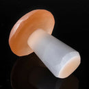 Natural Selenite Quartz Crystal Polished Mushroom Crystal Stone  Ornaments