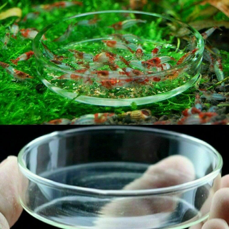Portable Aquarium Fish Tank Clear Acrylic Shrimp Feeding Dish Feeder Nice H Z7H3