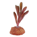 2pcs Artificial Succulent Plants For Aquarium Fish