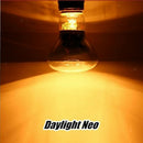 4x Heat Basking Lamp Reptile Light Bulb Brooder Lamp Pet Supplies