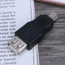 Mini USB 5pin Male to USB2.0 Female OTG Date Converter Adapter Connector