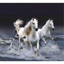 DIY 5D   Diamond  "Horse Without a  Stop " Painting Home Decor