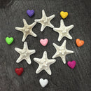2Pcs DIY Natural Starfish Sea Stars Shell Aquarium Landscape Making Craft Decor