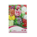 Beautiful Carnation Seeds LJerennial flower Dianthus Caryophyllus Clove SeedLJ