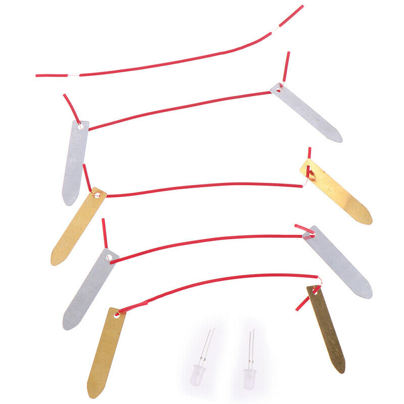 1 Set Children Bio Energy Science Kit Fruit Supply Electricity Experiments ME