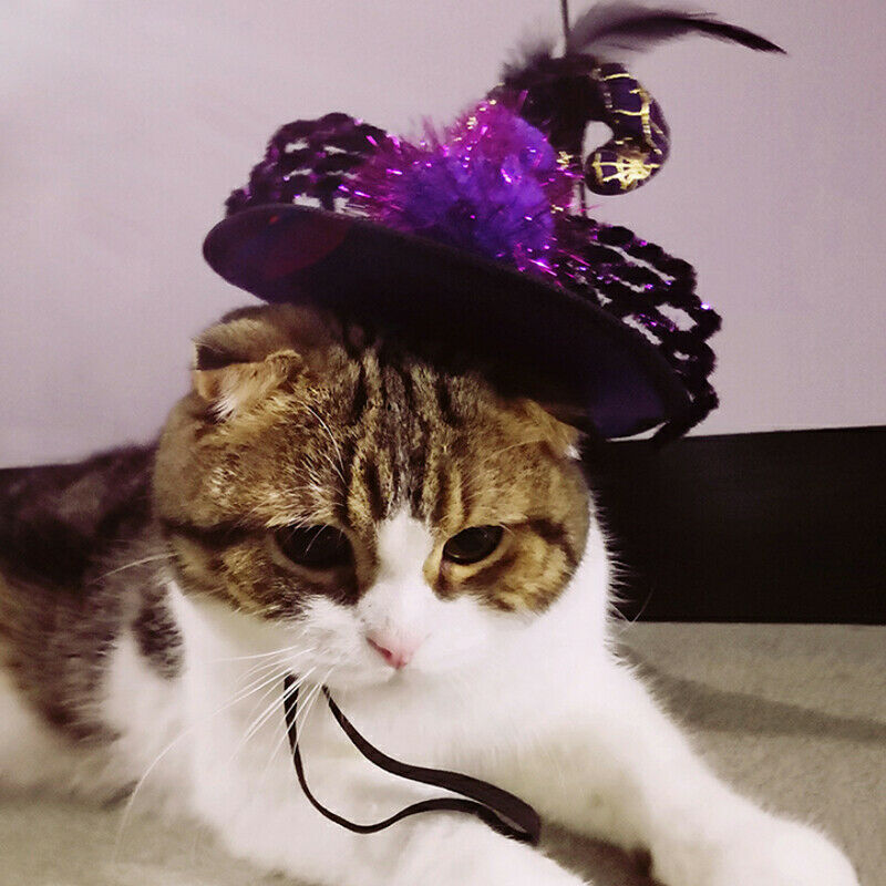 Halloween Pet Supplies Pet Dog and Cat Ornaments Halloween Pet Spider Hat W