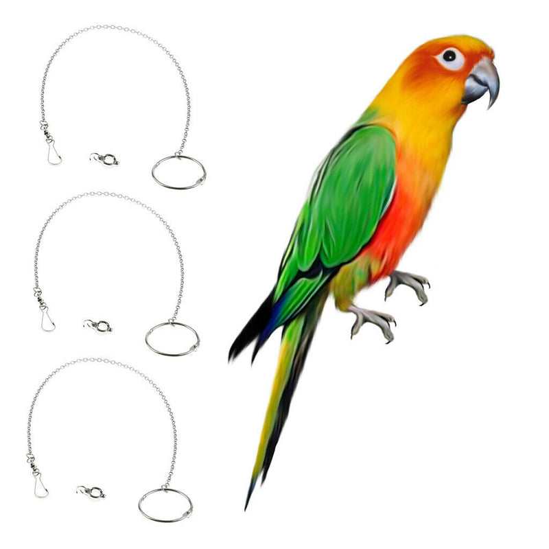 3x Parrot Stainless Steel Eight Rings Anklet Animal Bird Cockatiel