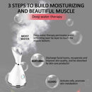Face Facial Steamer Nano Ionic Humidifier for Home Face Spa Deep Cleanser US