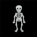Skeleton Die Cuts Metal Cutting Dies Scrapbooking Embossing Folder SP TEUS