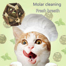 Catnip Toys Ball Matatabi Sticks Organic Natural Silvervine Pet Cat Supply Cute