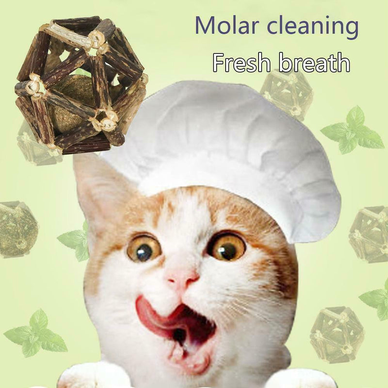 Catnip Toys Ball Matatabi Sticks Organic Natural Silvervine Pet Cat Supply Cute