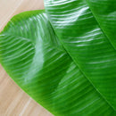 4PCS Heat-Resistant Placemat Banana Leaf Waterproof Dining Table Mat cvx