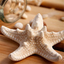 2X Lady Girl Beach Wedding Natural Starfish Sea Star Hair Clip Hairpi OZ