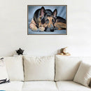 Diamond Painting Special Shaped Diy 5D Partial Drill Cross Stitch Diamond E O8S7