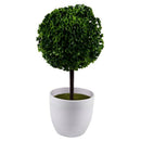Artificial plants ball bonsai can washes decorative green plants for home d W5K2