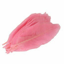 50Pcs Natural brier Leaves Card Scrapbook - Pink L2Q9