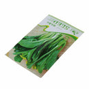 1 Bag 200 Seeds Cabbage Vegetables