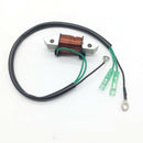 Lighting Charge Coil Replace For 40HP Yamaha Outboard 66T-85533-00-00