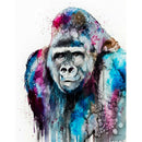 Painting By Numbers Kit DIY Chimpanzee Hand Painted Canvas Oil Art Picture A