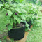 Plant Grow Bags,4 Pack 5 Gallons Non-woven Flower Vegetables Plant Aeration U7U4
