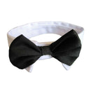 Dog cat neck loop necktie bowknot black and white