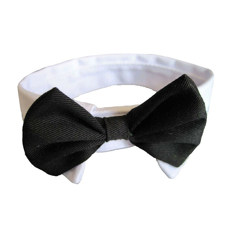 Dog cat neck loop necktie bowknot black and white