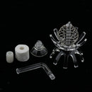 2pcs Feeding Basin for Dwarf Shrimps,Fish, Aquarium Invertebrates Clear Glass