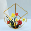 Geometric Glass Flower Pot DIY Terrarium Container Tealight Candle Holder