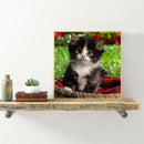 5D DIY Full Drill Diamond Painting Lovely Cat Cross Stitch Embroidery Kit