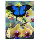 5D Butterfly Diamond Embroidery Painting Cross Stitch DIY Wall Decor