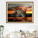 5D DIY Diamond Painting"Tattoo tiger"Diamond Embroidery Cross Stitch Rhines