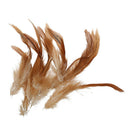 Natural cock feather cock Decoration - Ideal for costumes, hats, interior d R9B7