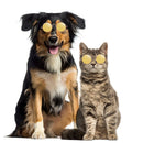 Lovely Dog Cat Glasses Pet Eye Protection Sunglasses Photos Props (Yellow) A