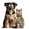 Lovely Dog Cat Glasses Pet Eye Protection Sunglasses Photos Props (Yellow) A