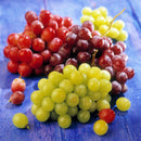 50mixed grape seeds home garden vitis viniferaDelicious fruit plant seed decorLJ