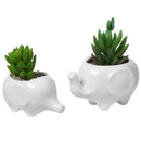 Set of 2 Cute Elephant White Ceramic Flower Pot with Tray for Succulents Ca S8K5