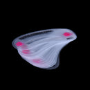 24Style Eye Brow Class Guide Grooming Shaping Assistant Eyebrow Drawing Car Bj