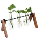 Diy Home Garden Wooden Rack Transparent Vase Glass Plant Hydroponics Tablet Z6M3