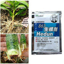 2pcs Rooting Agent Strong Fast Rooting Powder Liquid Plant Large New M3E6