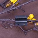 3pcs Gardening Grafting Tool Set Pruning Scissors Cutter Accessories(U+V+Î©)