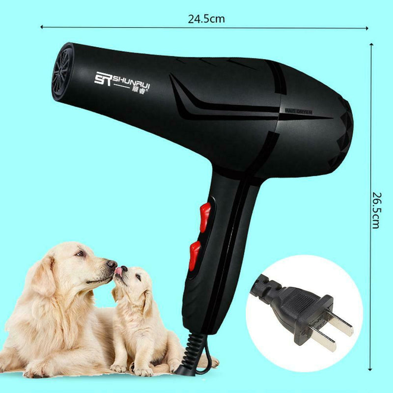 800W 3 Heat Setting 2 Speeds Anion Pet Hairdryer Cold Hot Air Hair Dryer Dry