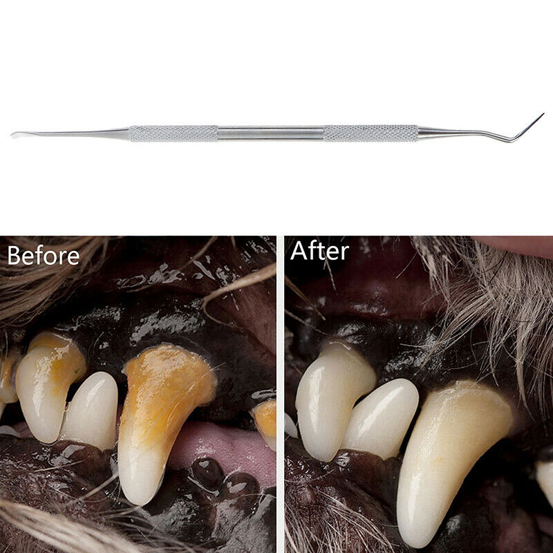 Pets Teeth Cleaning Tools Double Sided Dogs Cats Tartar Remover Pet Suppli%lTOCA