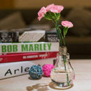 Transparent Glass Bulb Shape Table Vase for Plants Flowers Home Garden Wedd E8O1