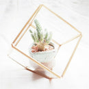 Geometric Micro- Landscape Plant Transparent Glass House Flower Room Weddin P3V4