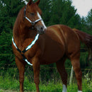 LED Horse Harness Collar Breastplate Reflective Night Riding Horse Bridle Halter