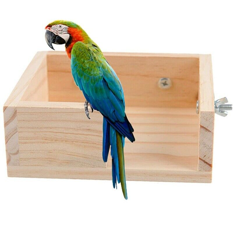 Pet Bird Perch Parrot Parakeet Stand Platform Food Feeder Corner Desk Small G3U9