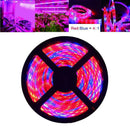 Grow Light Strip Small Plant Area Greenhouse Home Plant Flower Tape Light