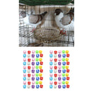 100Pcs Poultry Chick Chicken Duck Automated Management Chip Leg Foot Ring